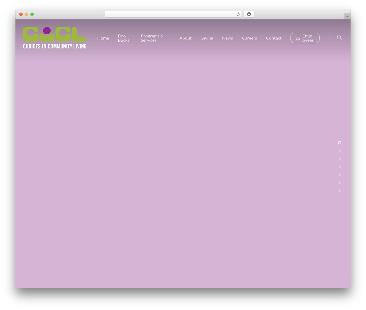 Salient WordPress theme - cicloh.com