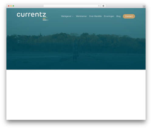 Privacypolicy master WordPress plugin - currentz.nl