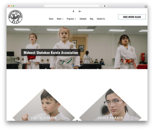 Theme WordPress PerfectMind Theme - midwestdojo.com
