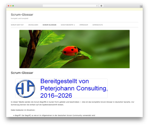 Tiny Framework WordPress theme - scrum-glossar.de Tiny Framework WordPress theme - scrum-glossar.de