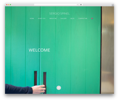 WordPress website theme FirstOne OnePage WordPress Theme - sergiospinel.com