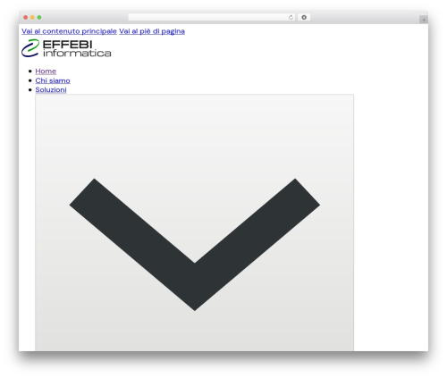 Bricks WordPress theme - effebi-informatica.com