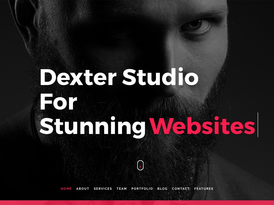 Dexter WordPress theme
