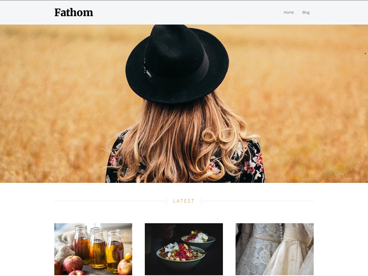 fathom WordPress theme