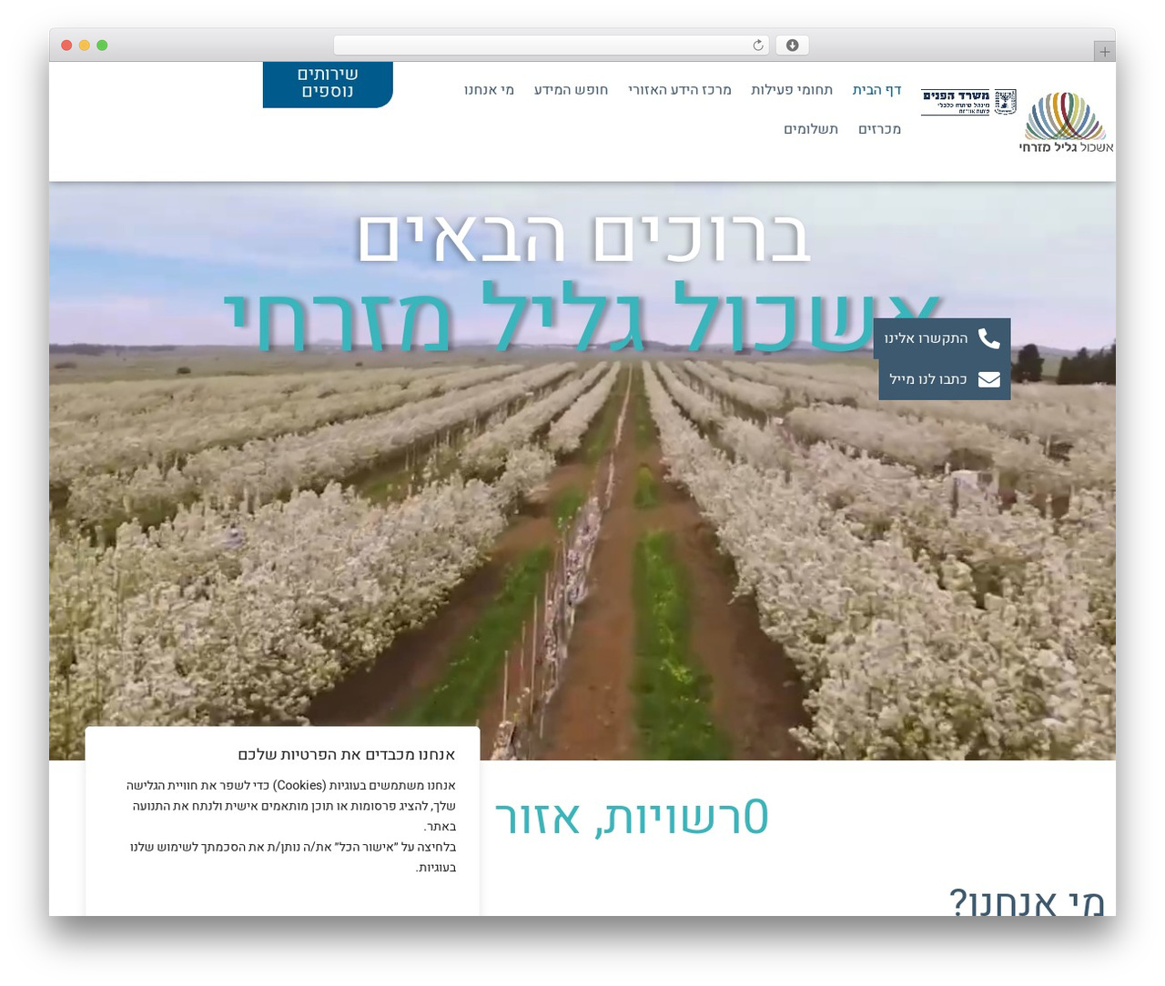 Hello Elementor WordPress theme - eastgalil.org.il