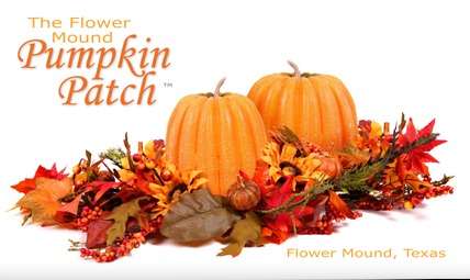 Pumpkin Patch WordPress theme
