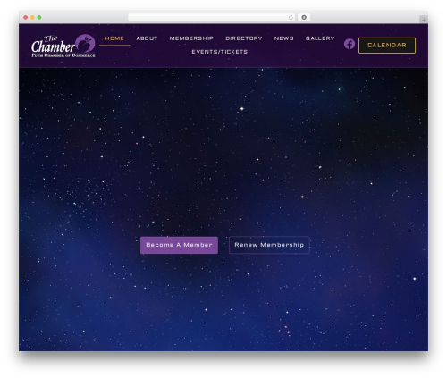Frontend reports for woocommerce WordPress plugin - plumchamber.com