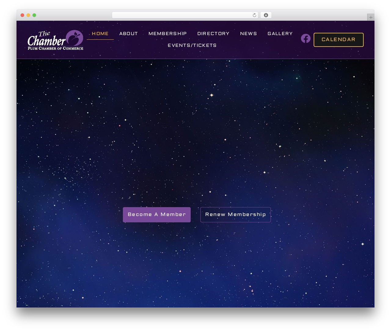 WordPress theme Hello Elementor - plumchamber.com