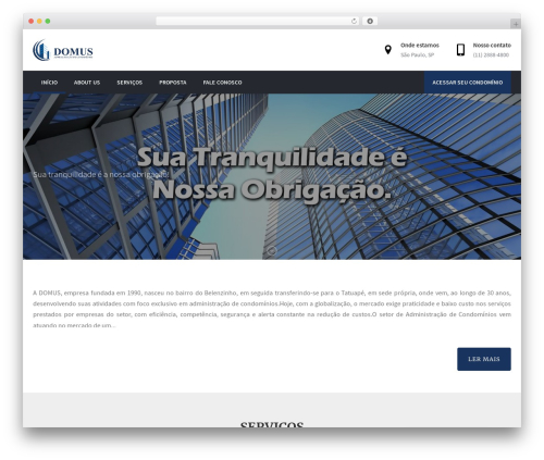 Gi options WordPress plugin - domusimoveis.com.br