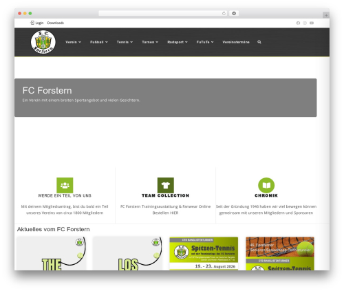 Bsk pdf manager pro WordPress plugin - fcforstern.de