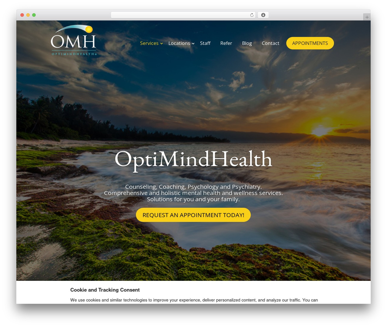 OMH WordPress theme - optimindhealth.com