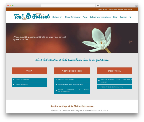 Enfold WordPress theme - toutopresent.com