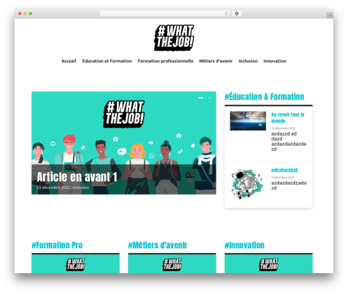 Extra WordPress theme - what-the-job.com