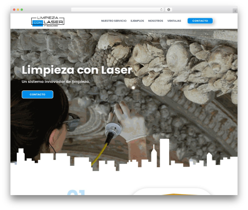 Divi form builder WordPress plugin - limpiezaconlaser.com