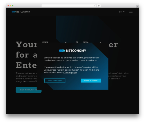WordPress theme PopArtTheme - netconomy.net