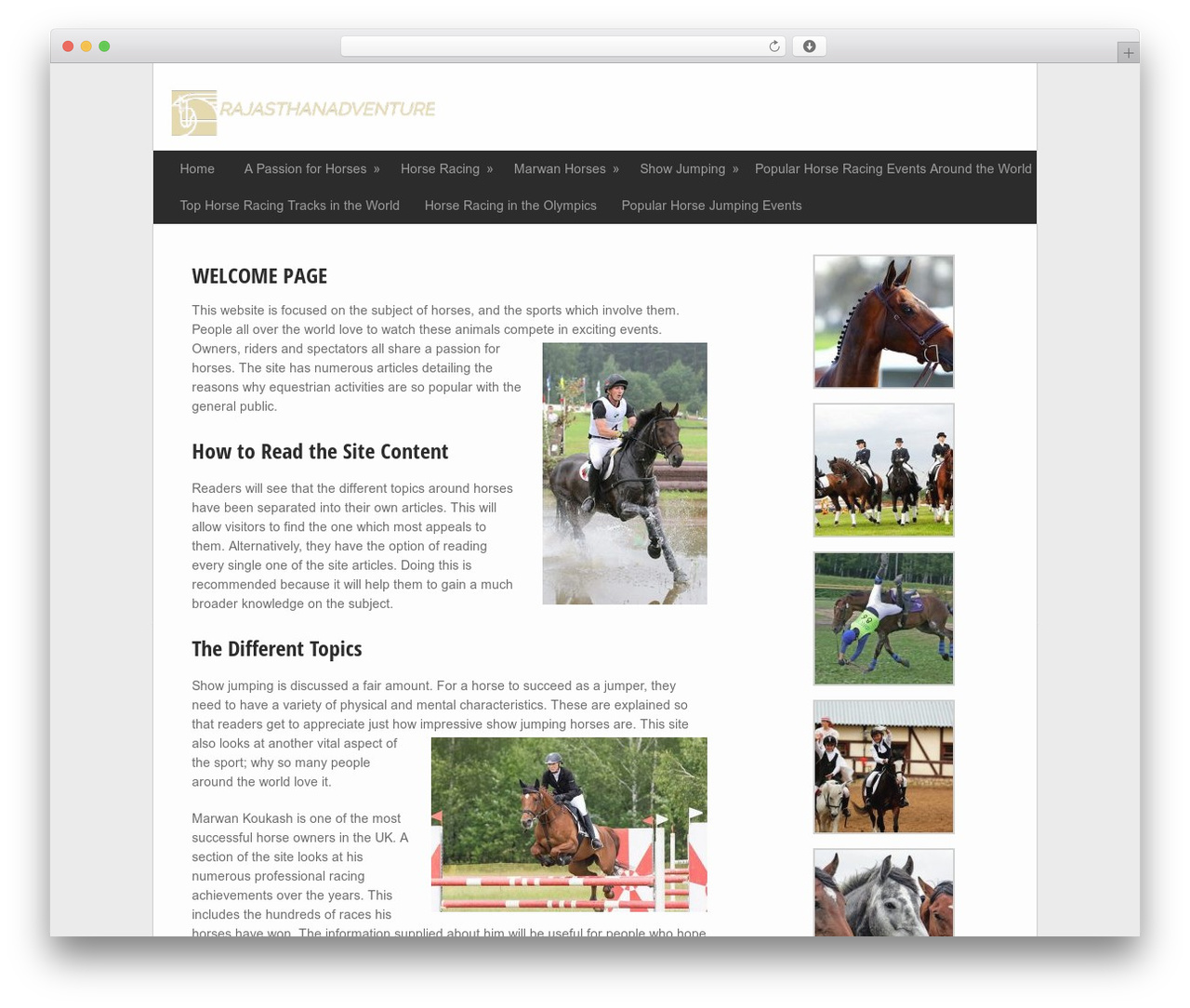 GreenChilli WordPress theme - rajasthanadventure.com