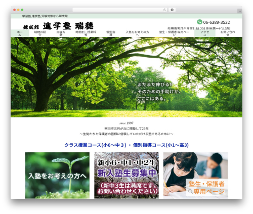 my-theme WordPress theme - mizuho-rensei.com
