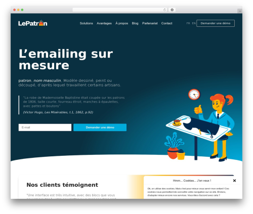 Tp add on automatic language detection WordPress plugin - lepatron.email