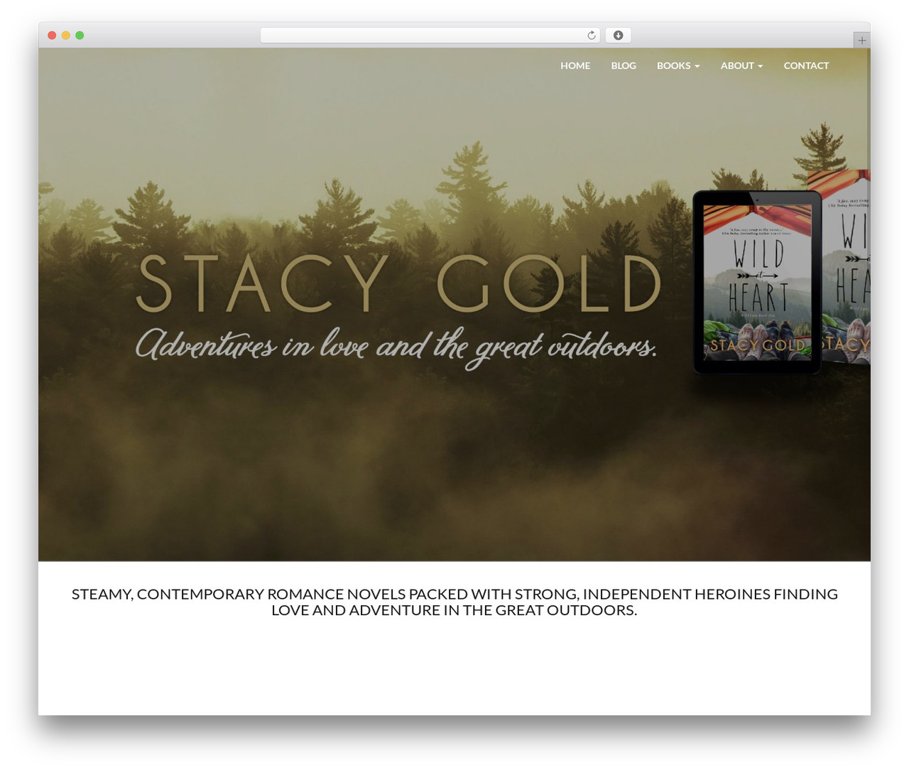 Theme WordPress Simple Pro - stacygold.com