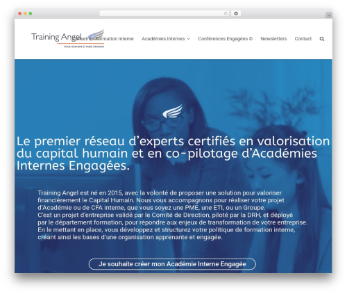 Wp sgar WordPress plugin - training-angel.com
