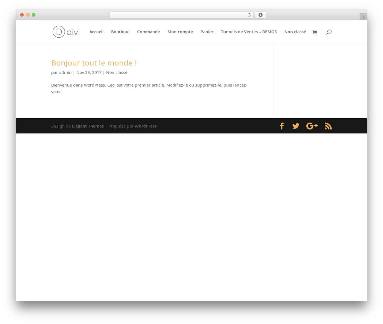 WordPress theme Divi - linecouturenaturopathe.com