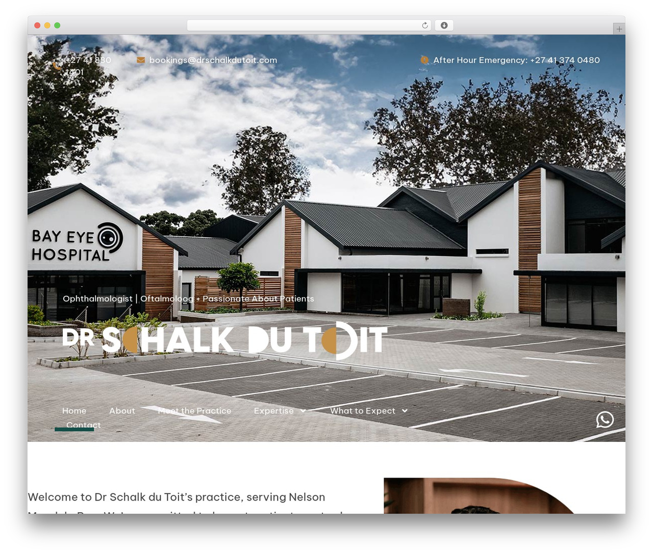WordPress theme Hello Elementor - drschalkdutoit.com