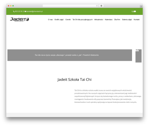 WordPress theme Hello Elementor - chentaichi.pl
