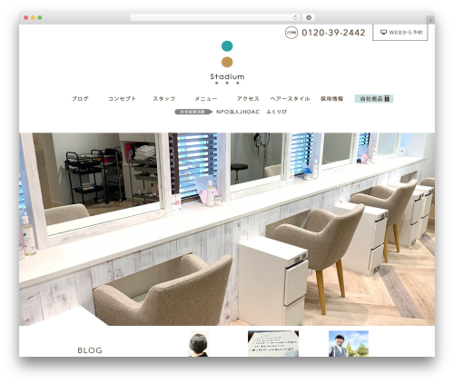 2015 WordPress theme - stadium-hair.com