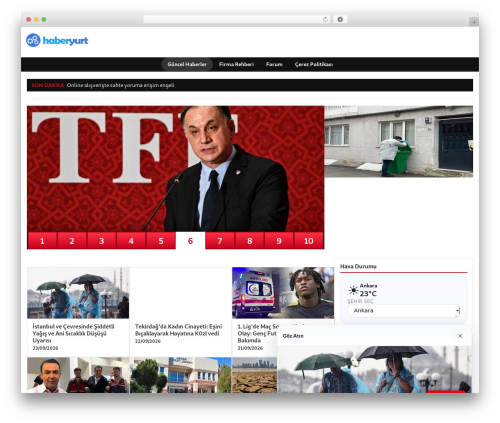dtheme theme WordPress - haberyurt.com.tr