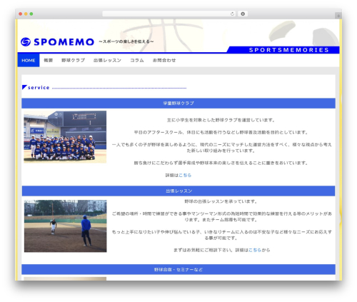WassUp Real Time Analytics (wassup) free WordPress plugin - sportsmemories.jp
