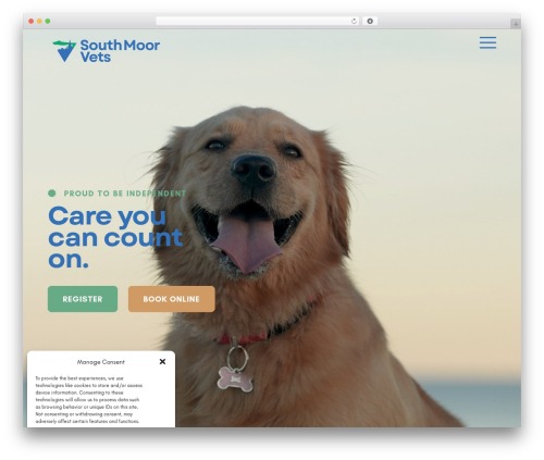 Theme WordPress Custom WP - southmoorvets.co.uk