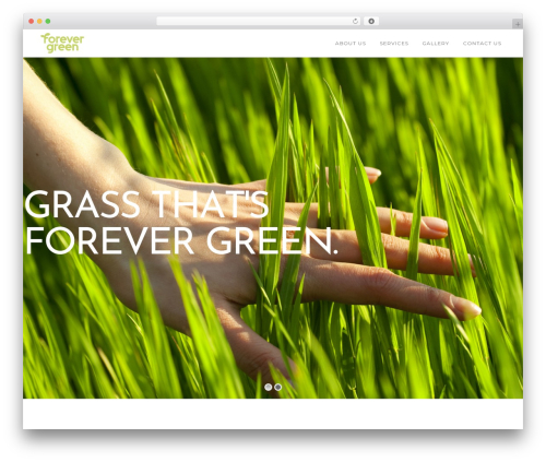 Theme WordPress OnePro - forevergreenny.com