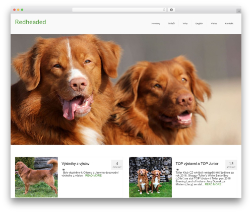 SpiderVPlayer (player) free WordPress plugin - redheaded.cz SpiderVPlayer (player) free WordPress plugin - redheaded.cz
