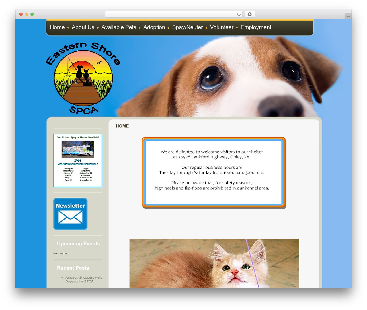 WordPress theme WordPress Theme 876 - shorespca.com WordPress theme WordPress Theme 876 - shorespca.com