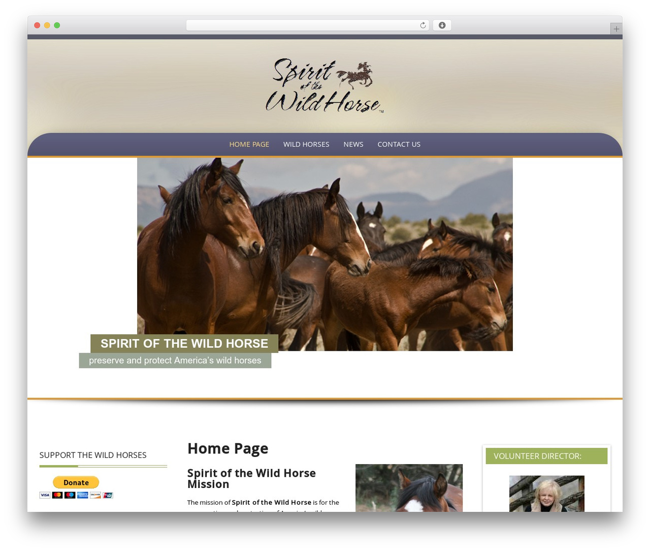 WP theme Preferential - spiritofthewildhorse.com WP theme Preferential - spiritofthewildhorse.com