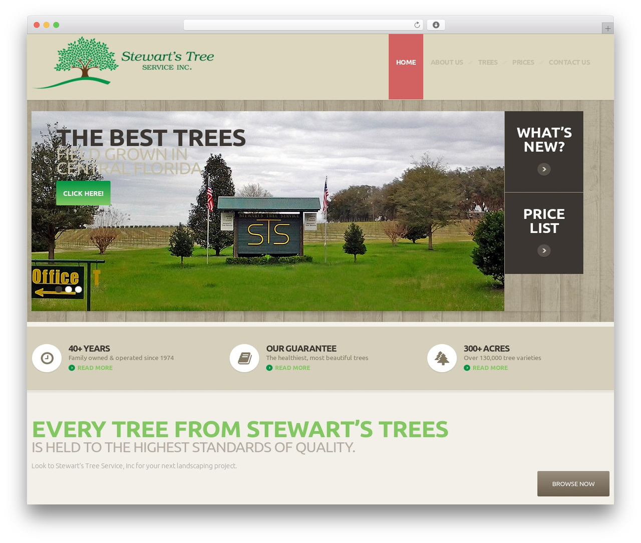 cherry theme WordPress - stewarttrees.com
