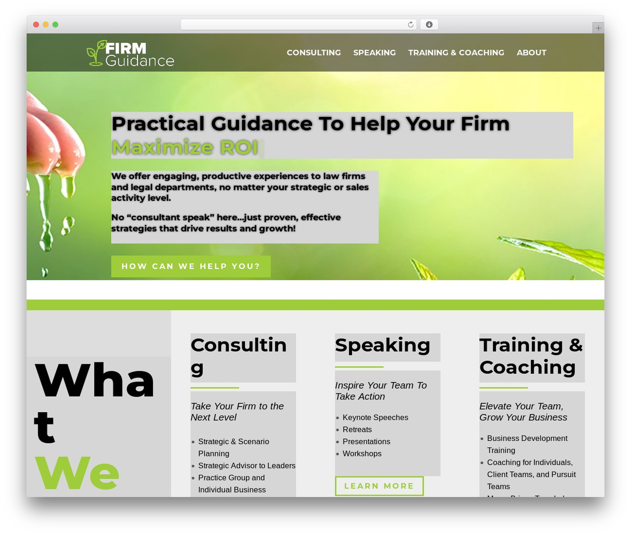 Divi WordPress theme - firmguidance.com Divi WordPress theme - firmguidance.com
