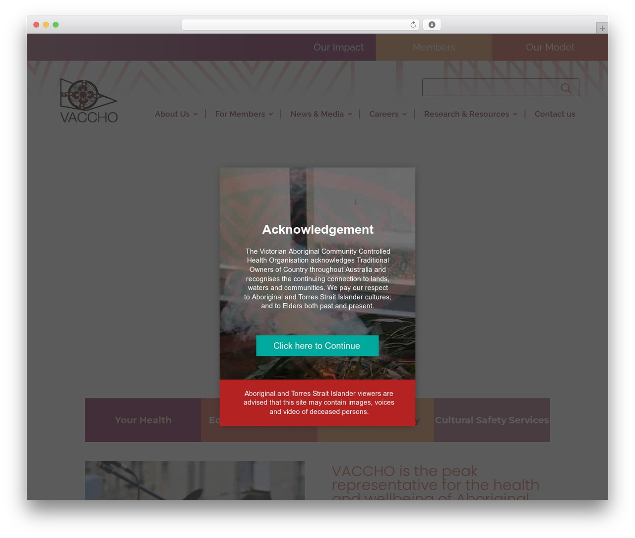 Rare WordPress theme - vaccho.org.au
