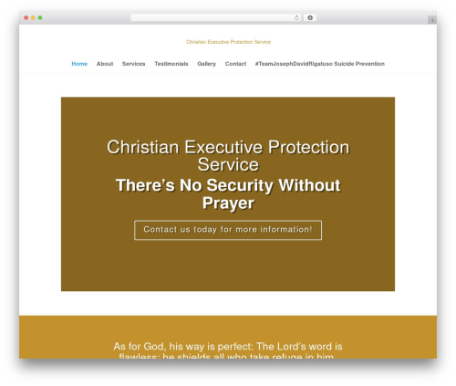 Easy testimonials pro WordPress plugin - christianexecutiveprotectionservice.com