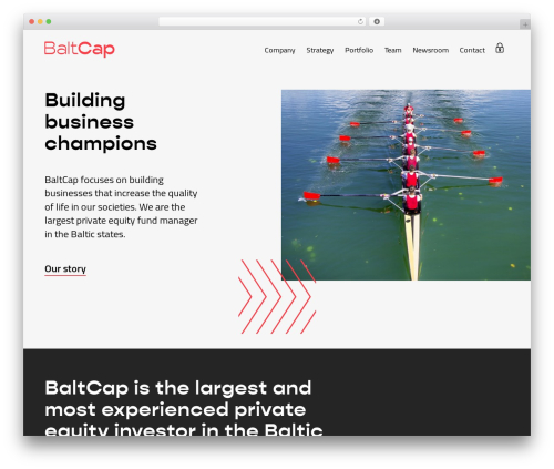 Enfold WordPress theme - baltcap.com