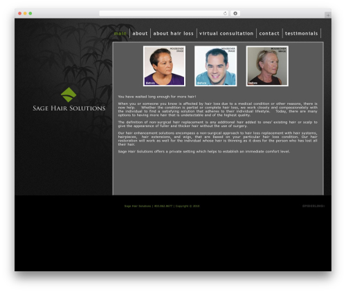 Transpose Email (ald-transpose-email) free WordPress plugin - sagehair.com