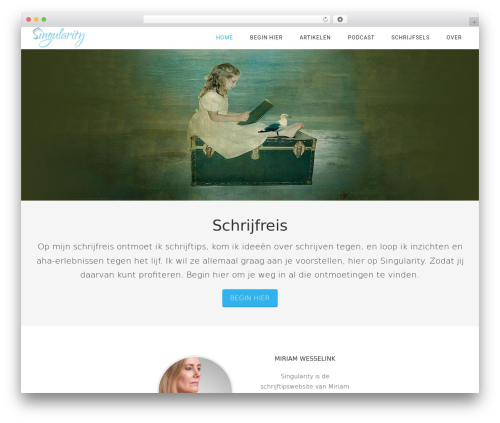 Minimum Pro Theme WordPress theme design - singularity.nl