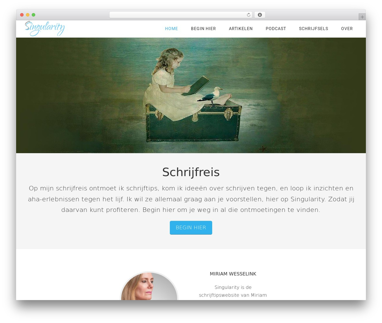 Minimum Pro Theme WordPress theme design - singularity.nl