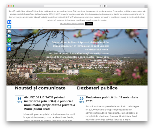 Reykjavik WordPress theme free download - primariabrad.ro