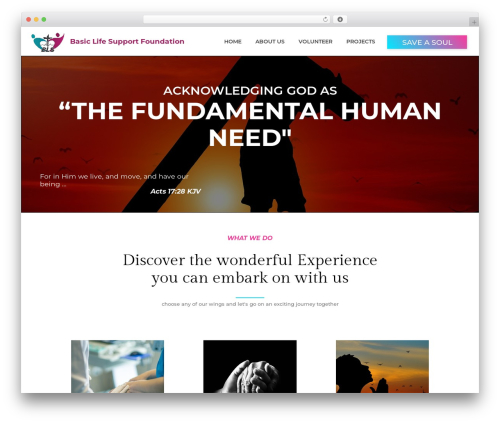 Theme WordPress BMG - basiclifesupportfoundation.org