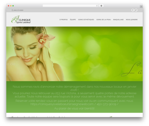 The7.2 WordPress theme - sylvieleboeuf.ca