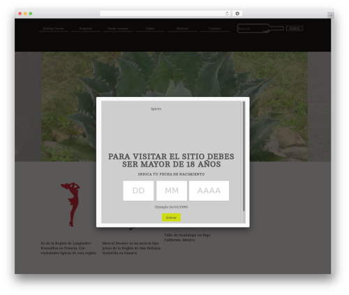 WordPress theme Starkers HTML5 - spiritsdecorazon.com