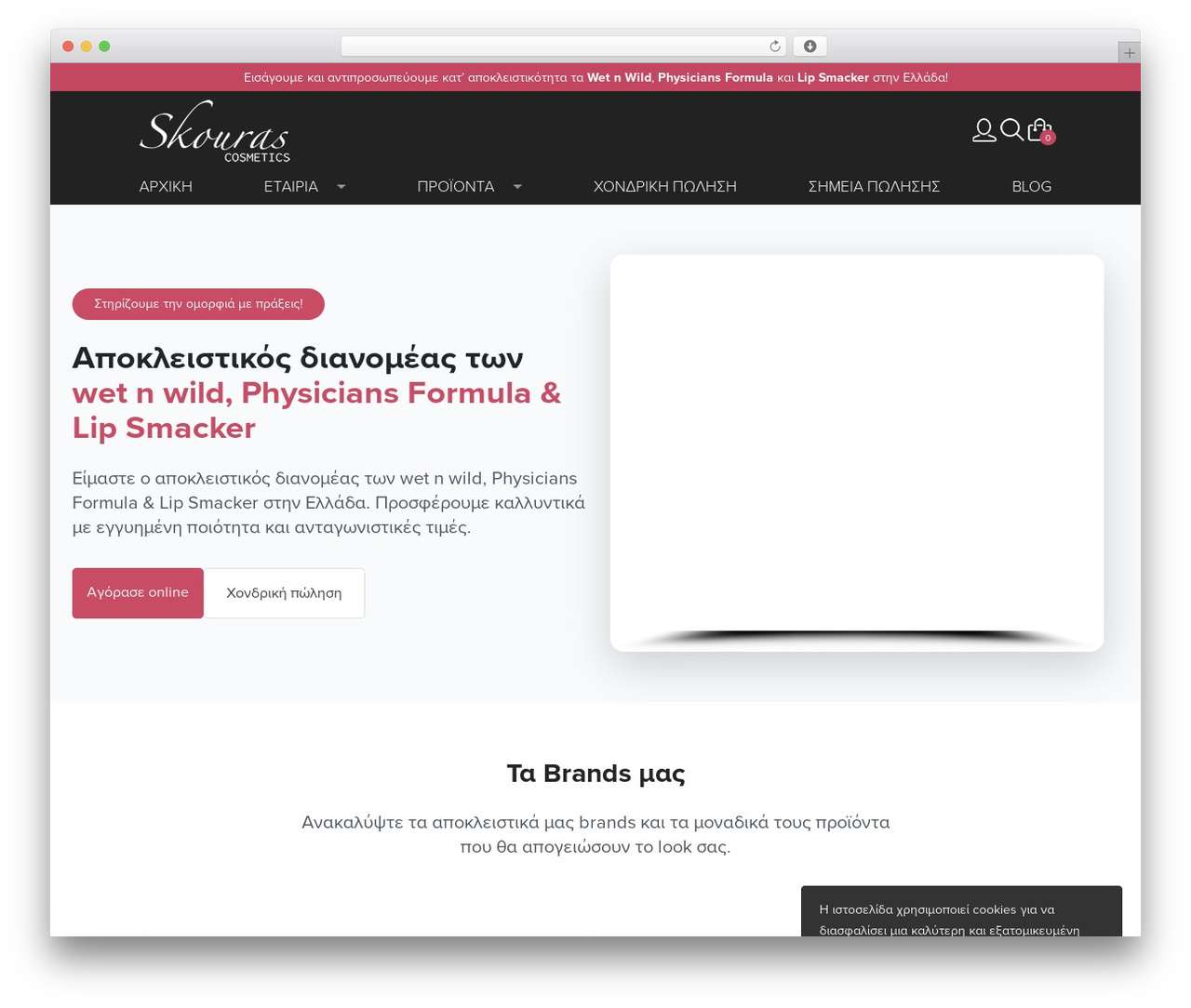 WordPress website theme Web Expert - Basic Template - skourascosmetics.gr WordPress website theme Web Expert - Basic Template - skourascosmetics.gr