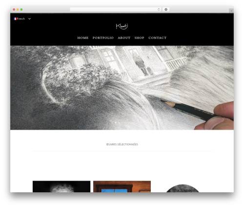 Exclusive divi WordPress plugin - klemt.fr