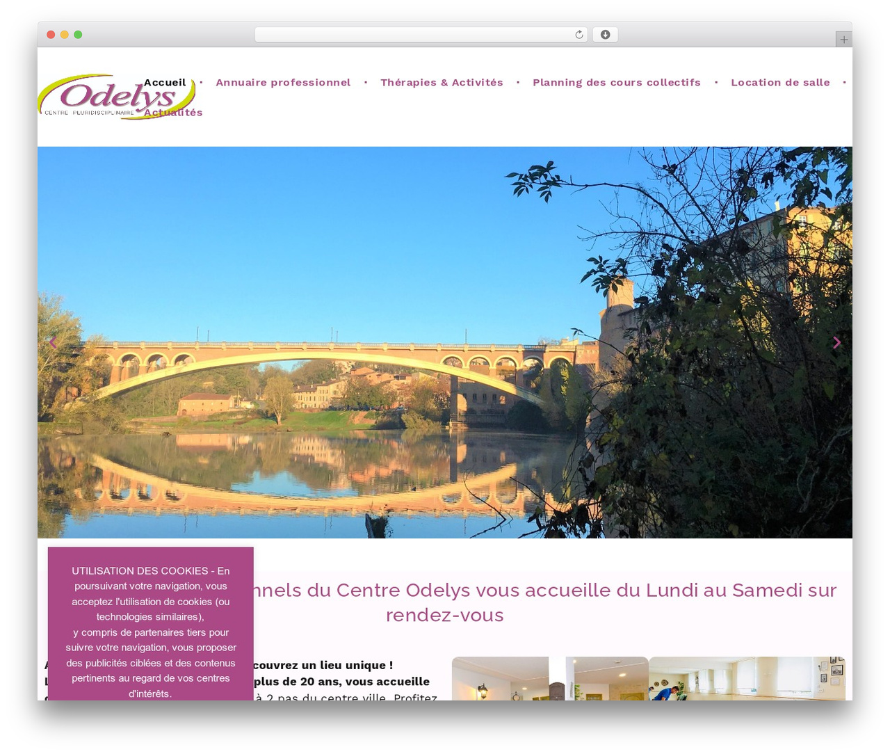 Hello Elementor Child WordPress theme - centre-odelys.fr Hello Elementor Child WordPress theme - centre-odelys.fr